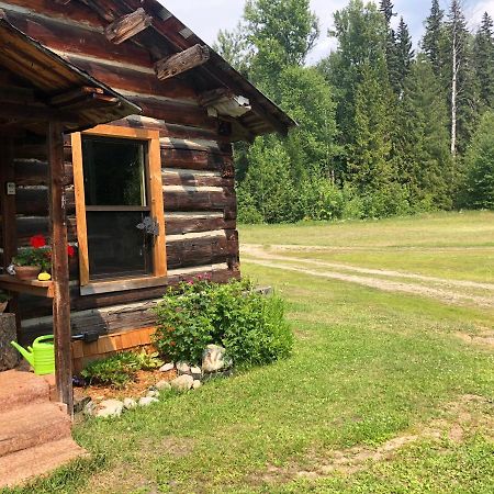 Mini-Mooh Cabin Clearwater Kültér fotó